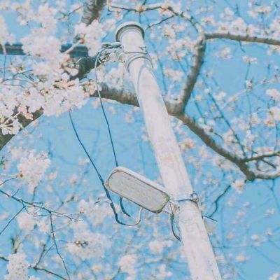 梦幻新世界官方版下载